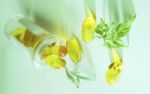 Homopathische Arzneimittel - Similia similibus curentur (hnliches wird mit hnlichem geheilt)