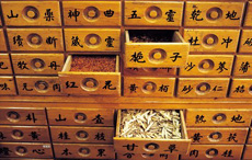 Chinesische Heilkruter - wieder voll im Trend