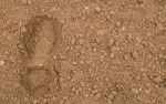 Fruchtbare Erde als knappes Gut? Peak Soil  - die unterschtzte Krise der Bden