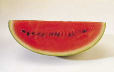 Wassermelone  - Durstlscher Nr. 1