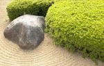 Zen-Meditation - Im Jetzt leben mit ZEN 