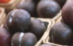 Zwetschken - ein vitaminreiches Frchtchen hat Hochsaison