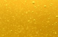 Bier und seine Inhaltsstoffe - eine gttliche Medizin