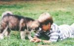 So wirken Hunde - auf unsere Hormone