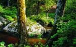 Mystisches Waldviertel - Unbeschwerte Wandertouren