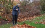 Endspurt zur Winterruhe - Alles fr einen gepflegten Garten