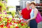 Im Sommerblten-Rausch - Jede Menge Tipps zu Einkauf, Anbau und Pflege
