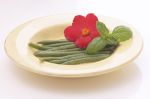 Gesund durch den Sommer - mit Ayurveda