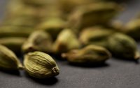 Kardamom - zitronig-pfeffrige Aromabombe