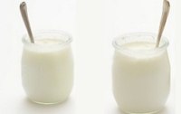 Milchsurebakterien - kleine Helferlein