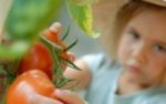 Fr kleine Gemse- und Obstmuffel  - Her mit dem Gemse, Mama 