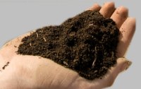Heilerde - ein Schatz der Natur