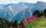 Natururlaub im Nationalpark  - Hohe Tauern und Berchtesgarden