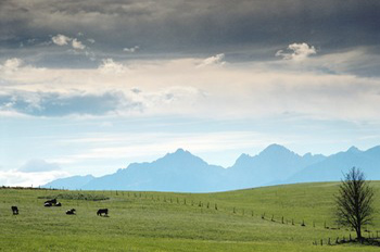 Ab in die Berge - rein in die Natur: Kurzurlaub in sterreich