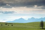 Ab in die Berge - rein in die Natur: Kurzurlaub in sterreich