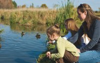 sterreich mit Kindern erleben  - was die Natur alles zu bieten hat