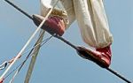 Gleichgewichtstraining  - Balance ist alles
