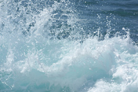Wasser  - Basiswissen rund um das nasse Element auf unserer Erde