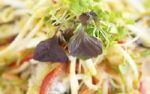 Gesundheitliche Aspekte vegetarischer Ernhrung - nicht nur Fleisch bringt es