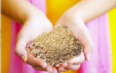 Die kleinen Fitmacher - Amaranth, Hirse, Quinoa & Co.