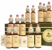 Bach-Blten - die natrliche Alternative