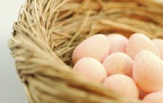 Cholesterin - Mythen und neue Fakten
