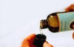therische le - kleiner Guide