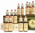 Bach-Blten - die natrliche Alternative