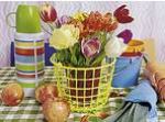 Tulpentherapie:  Winter ade statt Wintertristesse - 