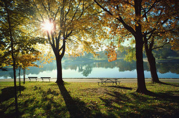 Herbstverstimmung  - Licht hilft!