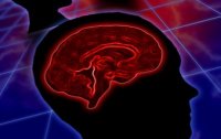 Hypothalamus und Hypophyse - zwei Drsen zum Ausgleich des Hormonsystems