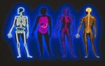 Hormone - Krper und Seele im Einklang
