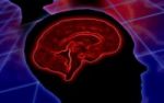 Hypothalamus und Hypophyse - zwei Drsen zum Ausgleich des Hormonsystems