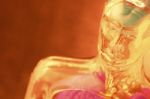 Unser Immunsystem - Undercoveragent in Sachen Gesundheit