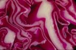 Rotkraut - ein genussvoller Start in den Herbst