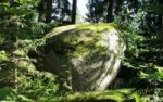 Mystisches Waldviertel - Landschaft der Kraft