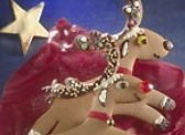 Rentier Rudolph - schmeckt nicht nur den Kleinen