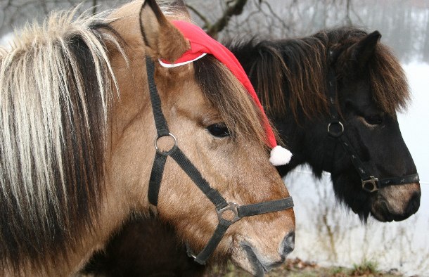 Weihnachten in Island