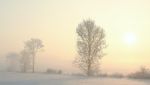 Winternebel