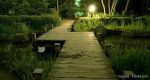 Licht im Garten