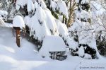 Der Garten im Winter