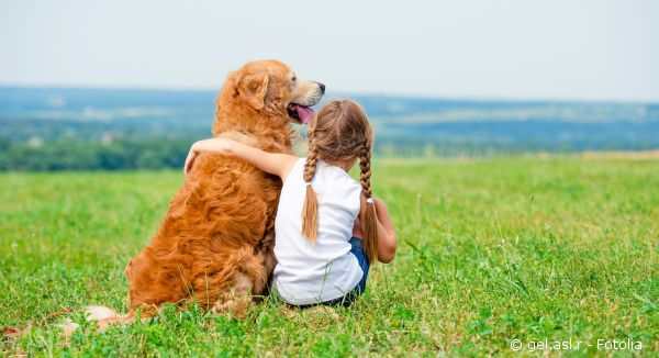 Urlaub mit Hund
