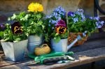 Gartenarbeit